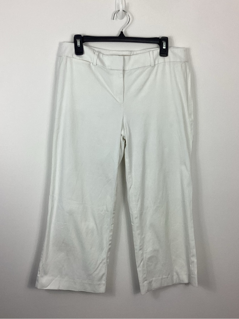 Loft Wide Leg Crop Pants Size 6